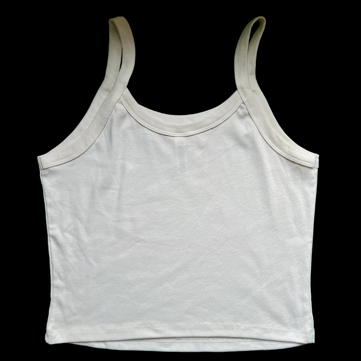 Inside of You There Are Two Dinosaurs - Screen Printed Graphic Tank